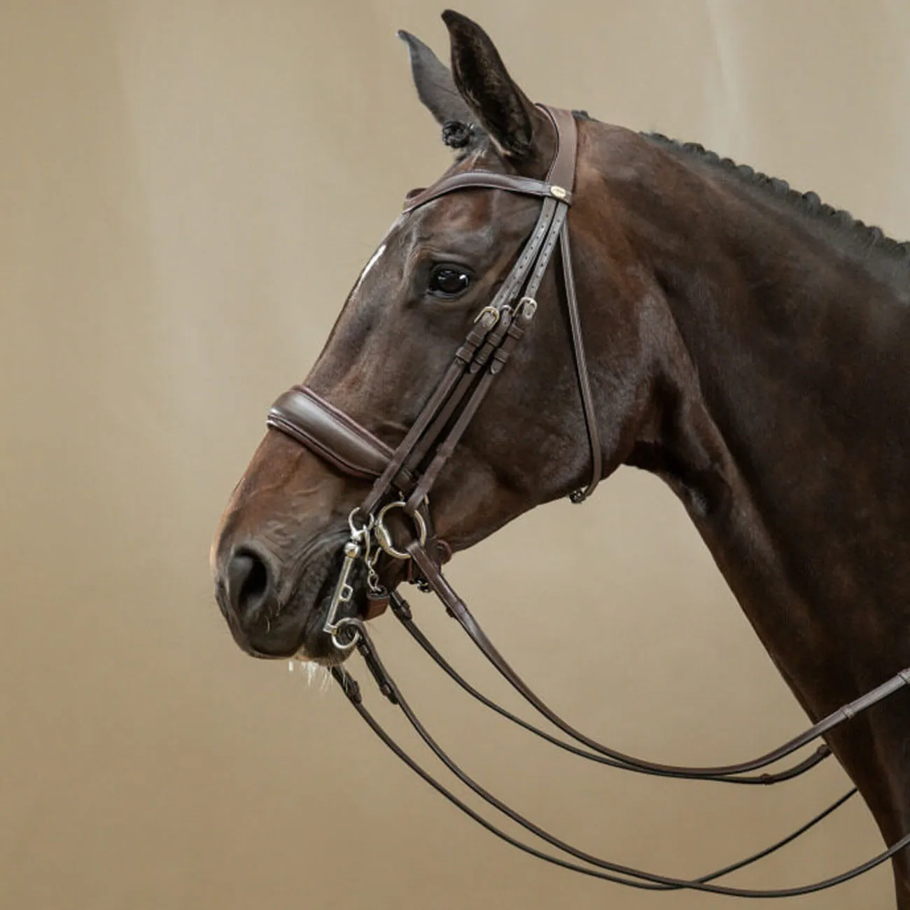 BRIGLIA DA DRESSAGE IN CUOIO WORKING COLLECTION