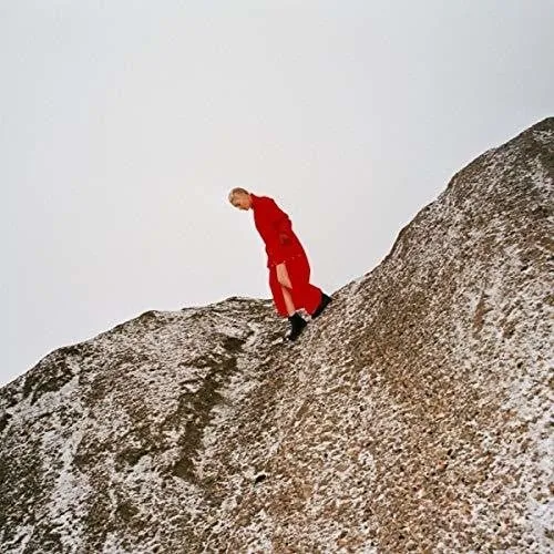 Cate le Bon - Reward  (New CD)